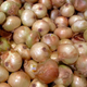 A heap of whole, unpeeled onions
